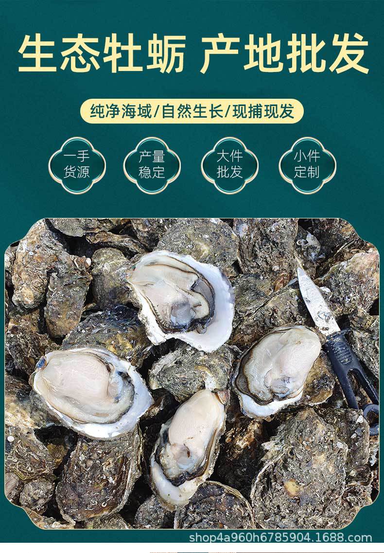 生蚝详情1_01.jpg
