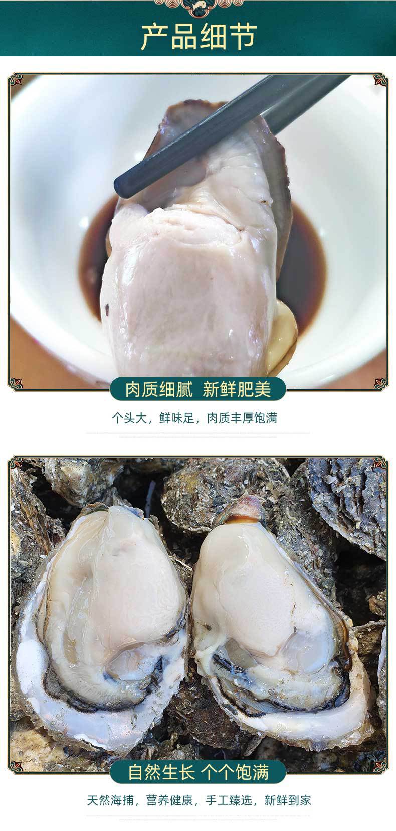 生蚝详情1_02.jpg