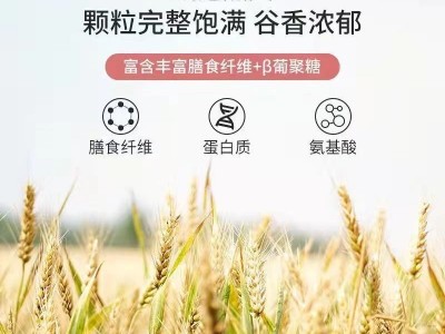 英贝健酸奶坚果果粒燕麦片网红同款水果谷物麦片营养代餐食品300g图3