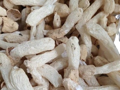 竹荪竹荪球特产干货食用菌菇类煲汤酒店食材大量批发图2