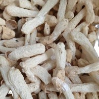 竹荪竹荪球特产干货食用菌菇类煲汤酒店食材大量批发