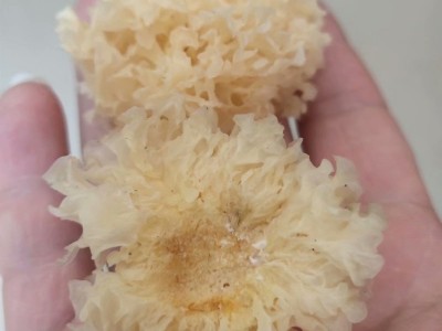 银耳 小白木耳食用菌农产品干货 易糯胶多500g批发产地直销图2