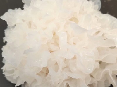 银耳 小白木耳食用菌农产品干货 易糯胶多500g批发产地直销图5