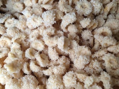 银耳 小白木耳食用菌农产品干货 易糯胶多500g批发产地直销图4