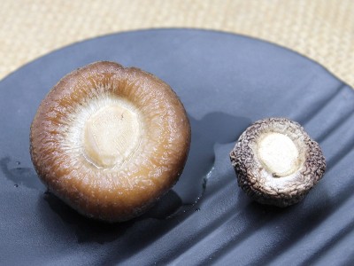 小香菇金钱菇珍珠菇福建特产食用菌农产品干货直销 1.5/2cm图5