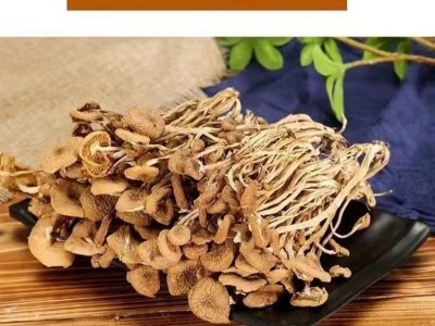 农家自种特产菌菇干货茶树菇不开伞厂家直销 量大批发 煲汤佳食材图2