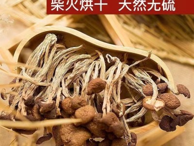 农家自种特产菌菇干货茶树菇不开伞厂家直销 量大批发 煲汤佳食材图3