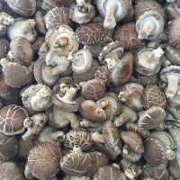 3.5-4.5花菇食用菌菇供应餐厅超市批发