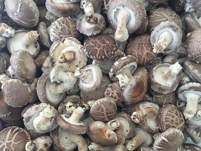 3.5-4.5花菇食用菌菇供应餐厅超市批发图3