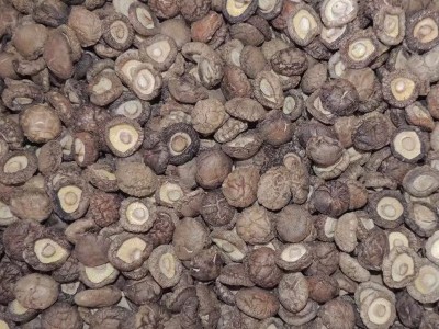 2-2.5香菇 脱水香菇脚香菇丁香菇大量批发2-2.5香菇干图2