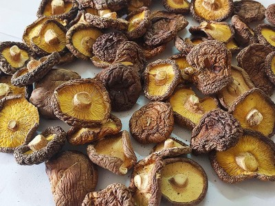 云和香菇特产干货食堂专供香菇产地直批基地种植整箱批发干香菇图3