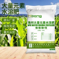 大量元素水溶肥19-19-19 瓜果蔬菜肥料 农作物有机肥水溶肥