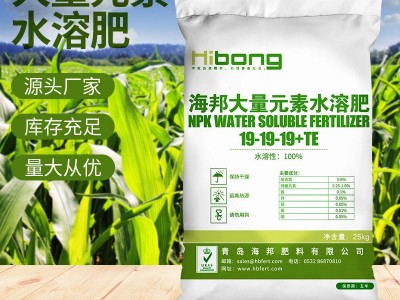 大量元素水溶肥19-19-19 瓜果蔬菜肥料 农作物有机肥水溶肥图5