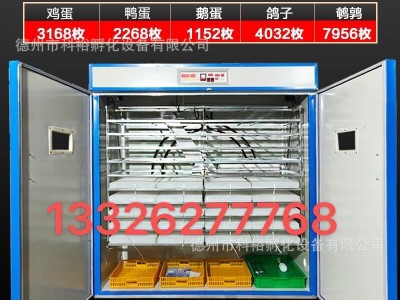 科裕全自动孵化机鸽子蛋孵化机家用智能孵化器小型鸡鸭鹅孵化设备图5
