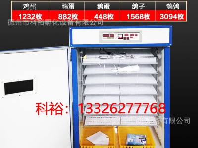 科裕全自动孵化机鸽子蛋孵化机家用智能孵化器小型鸡鸭鹅孵化设备图4