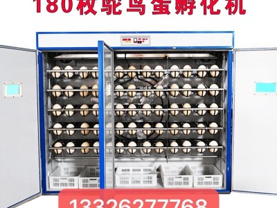 科裕全自动鸵鸟蛋孵化机价格鸸鹋全自动孵化机家用小型珍禽孵化器图3