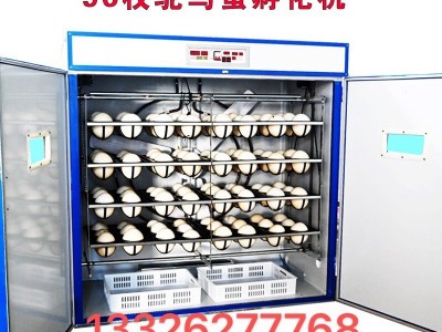 科裕全自动鸵鸟蛋孵化机价格鸸鹋全自动孵化机家用小型珍禽孵化器图5