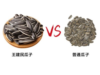 厂家直供 王建民 原味香瓜子 瓜子2斤袋装 炒货食品厂家图4