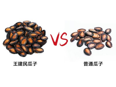 王建民五香西瓜子批发180g小袋包装炒货厂家直销甘肃特产图3