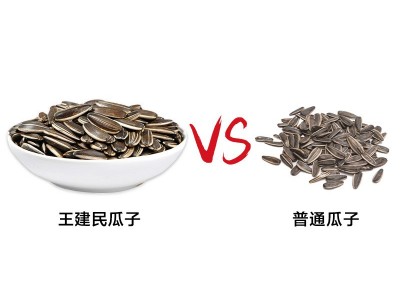 王建民五香味瓜子批发 160g小袋包装炒货厂家直销甘肃特产图3