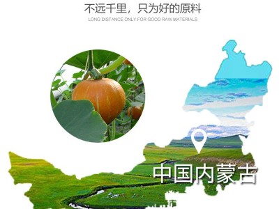 南瓜子仁原味500g盐焗新货生熟无壳炒货散装大瓜籽仁批发坚果零食图5