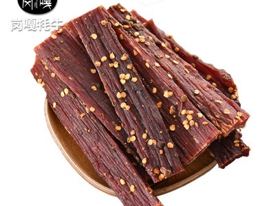 牛肉干 风干手撕牛肉厂家 景区特产网红零食风干猪肉脯500克散装图4