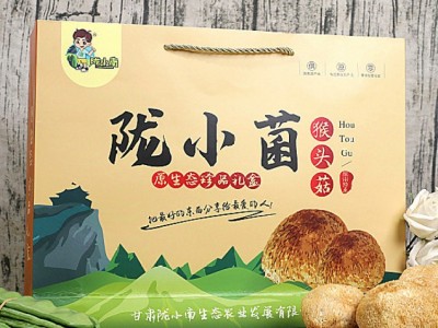 陇小菌甘肃菌菇之乡康县猴头菇 精品礼盒装500g图3