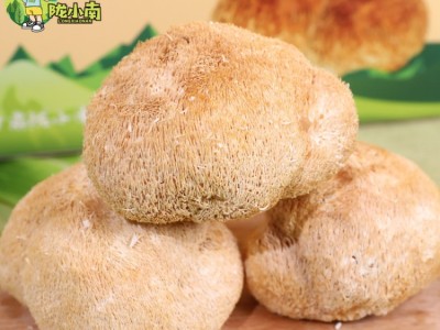陇小菌甘肃菌菇之乡康县猴头菇 精品礼盒装500g图4