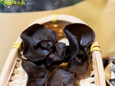 甘肃 陇小南 黑木耳之乡康县椴木小木耳黑木耳 500g装图3