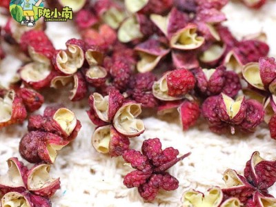 甘肃 陇小南 花椒之乡陇南武都大红袍精品花椒/500g袋装图2