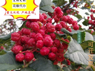 花椒 6.6元拿样 武都一等花椒 麻椒 伏椒 30g袋装 产地代办 批发图3