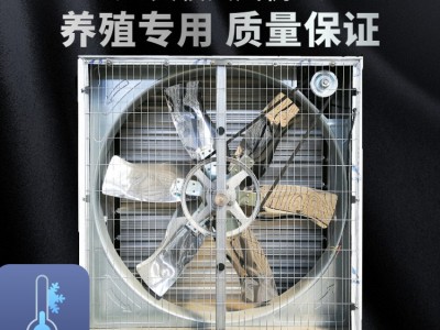 青岛大牧人负压风机 畜牧养殖工厂车间大功率强力降温工业排风机图4