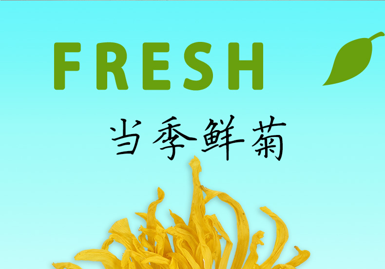 黄菊_02.jpg