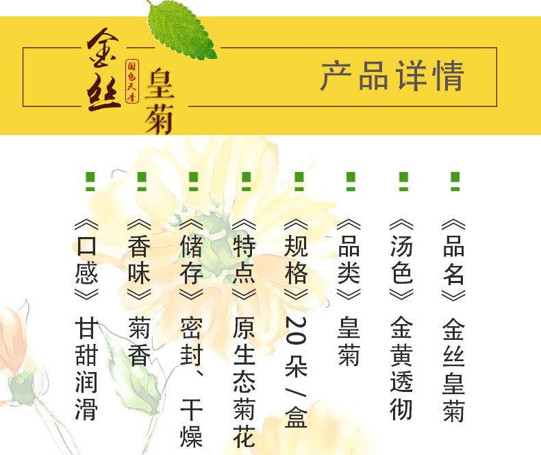 黄菊_03.jpg