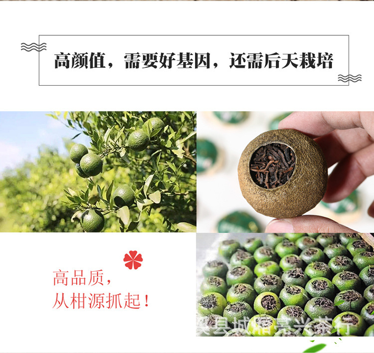 小青柑_07.jpg