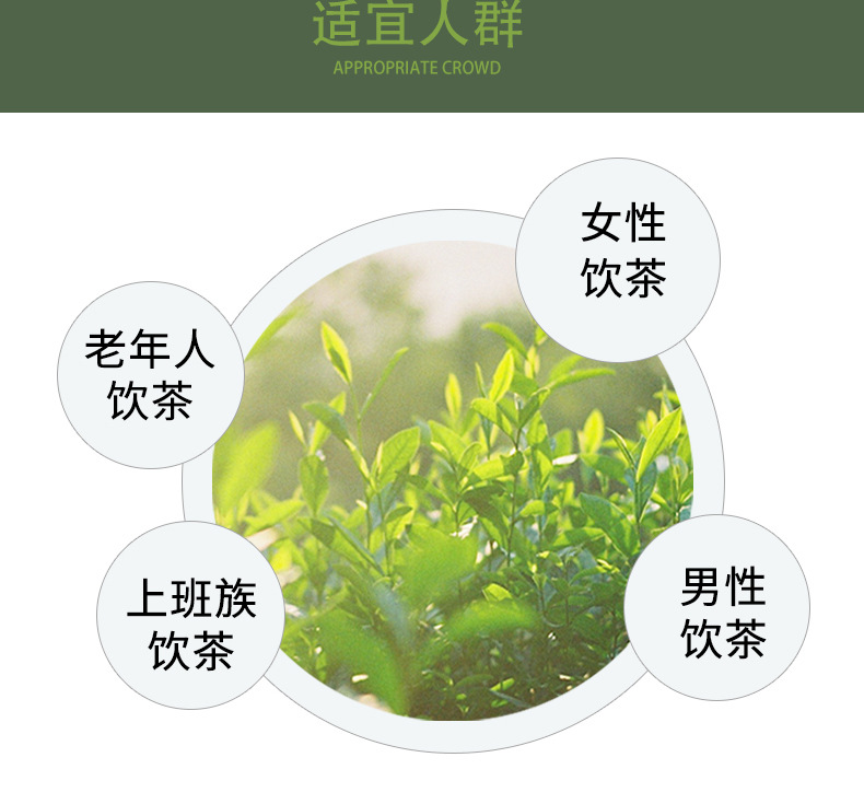 （永川秀芽明前茶（一级））_10