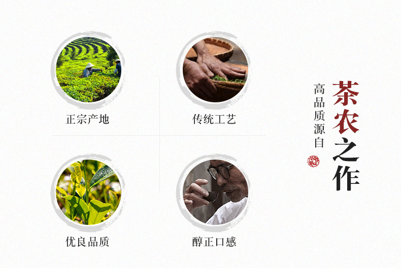 龙珠生茶模板-恢复的_04
