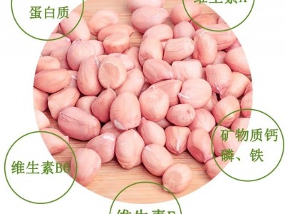 20年正阳大小白沙生花生米新鲜去皮大粒花生米新货花生批发图4