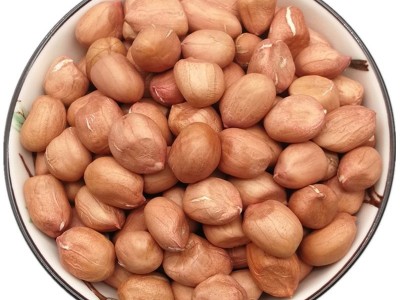新货2020正阳花生精选去皮大粒原料花生米产地直销花生新货批发图4