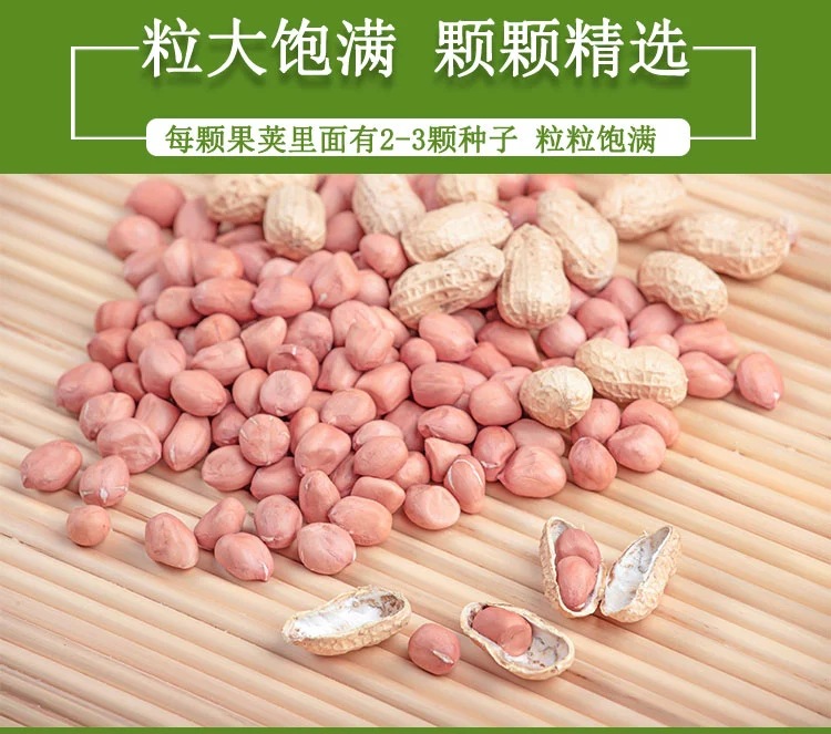 花生61606894915029