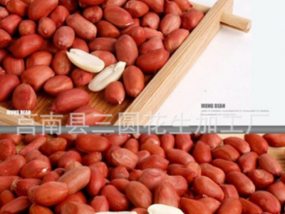 红皮花生仁，山东工厂四粒红图2