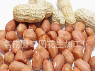 白沙花生仁图4