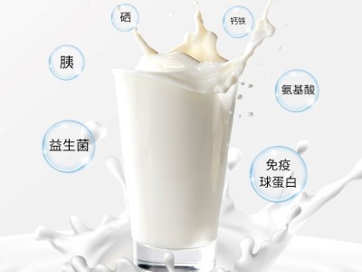 驼域初乳配方骆驼奶粉批发新疆儿童成人乳粉罐装图4