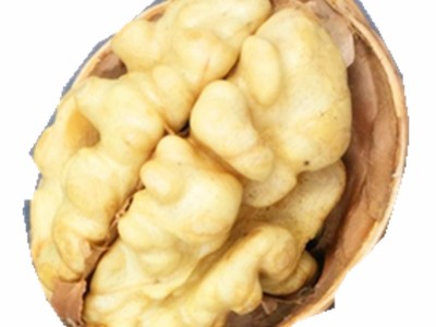 20年新货阿克苏185纸皮核桃薄皮核桃产地直发1/2/5斤新疆直发图5