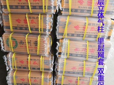 包邮款新疆西州密哈密瓜 新鲜哈密瓜网纹瓜沙漠蜜瓜 哈密瓜批发图5
