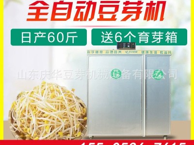 全自动温控黄豆芽机 双层一机箱式不锈钢豆芽机日产60斤绿豆芽机图3