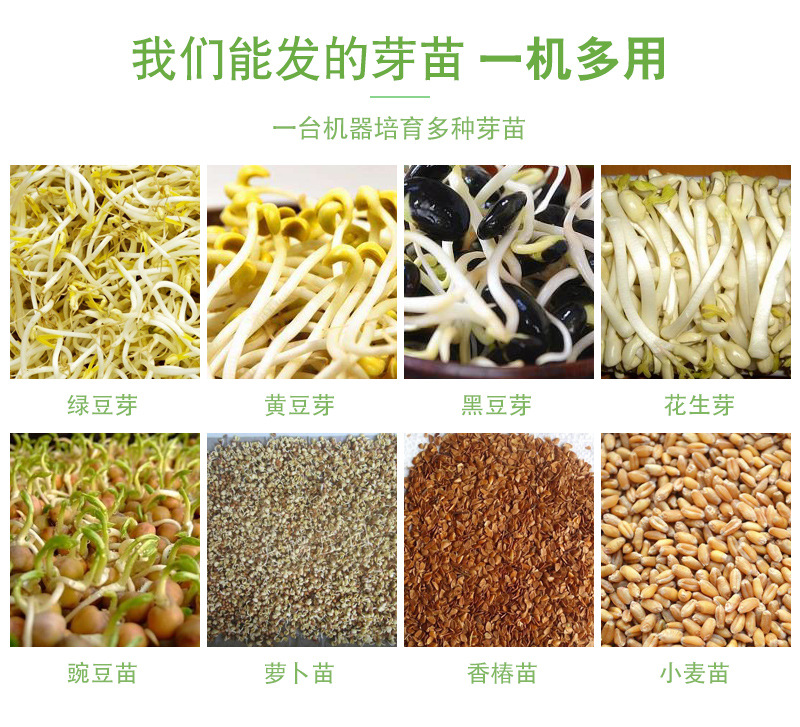 豆芽机_02.jpg