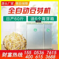 价格合理小型豆芽机无烂牙 商用全自动豆芽机报价 豆制品加工设备