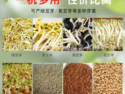 价格合理小型豆芽机无烂牙 商用全自动豆芽机报价 豆制品加工设备图4