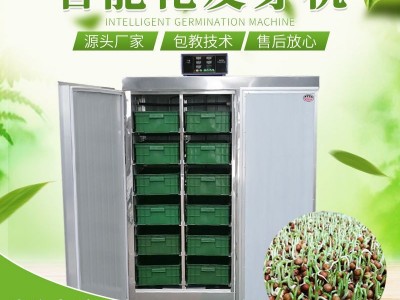 全自动芽苗菜催芽箱 种子发芽机 芽苗菜技术 多功能发芽机图2